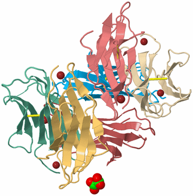 Image Biological Unit 1