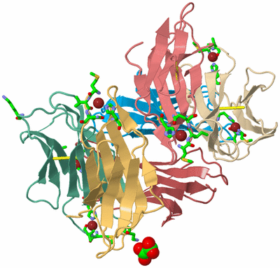 Image Biol. Unit 1 - sites