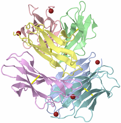 Image Biological Unit 2