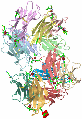 Image Asym. Unit - sites