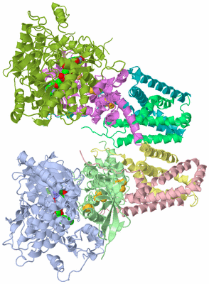 Image Asymmetric Unit