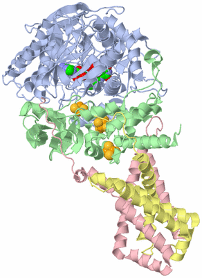 Image Biological Unit 1