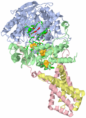 Image Biol. Unit 1 - sites