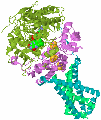 Image Biological Unit 2