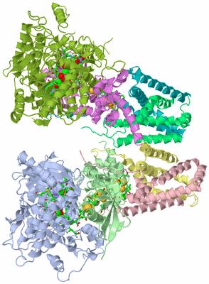 Image Asym. Unit - sites
