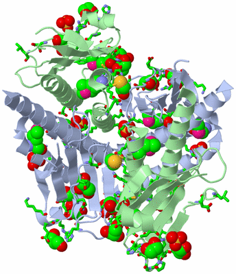 Image Biol. Unit 1 - sites