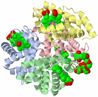 Image Asym./Biol. Unit