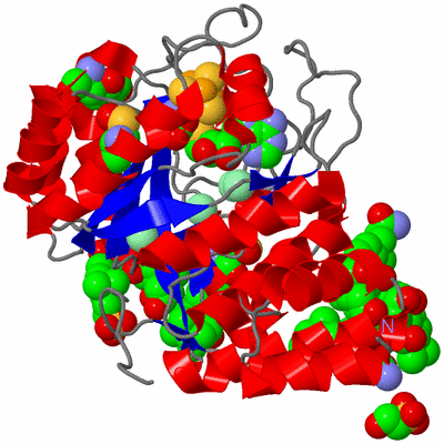 Image Asym./Biol. Unit