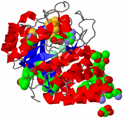 Image Asym./Biol. Unit