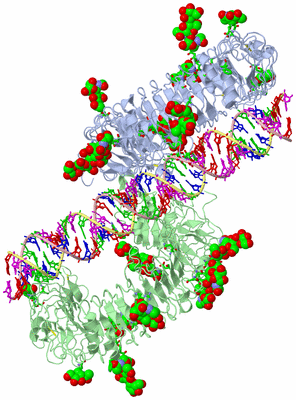 Image Asym./Biol. Unit - sites