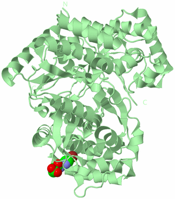 Image Biological Unit 2