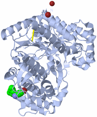 Image Biological Unit 1