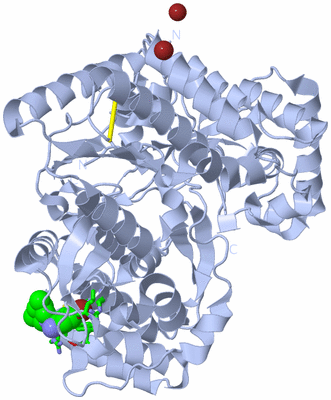 Image Biol. Unit 1 - sites