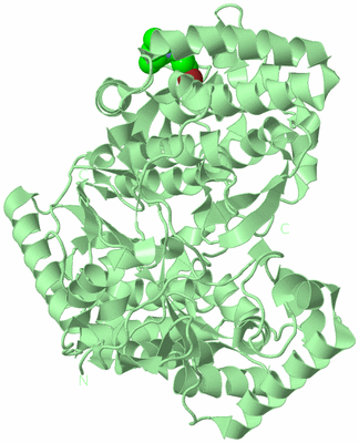 Image Biological Unit 2