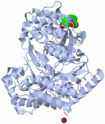 Image Biological Unit 1