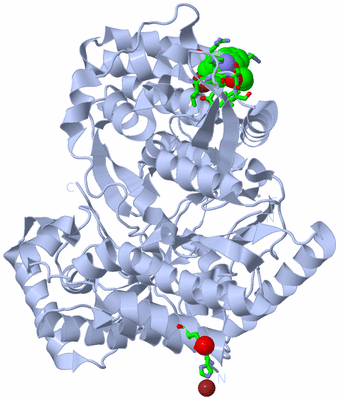 Image Biol. Unit 1 - sites