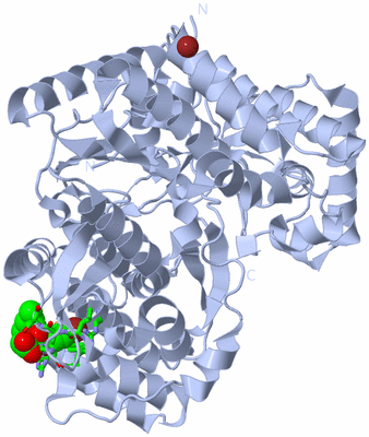 Image Biol. Unit 1 - sites