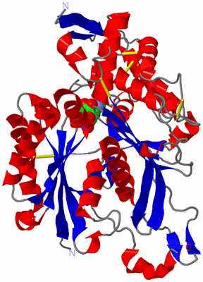 Image Asym./Biol. Unit