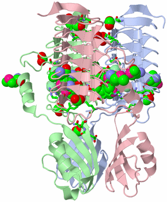 Image Asym./Biol. Unit - sites