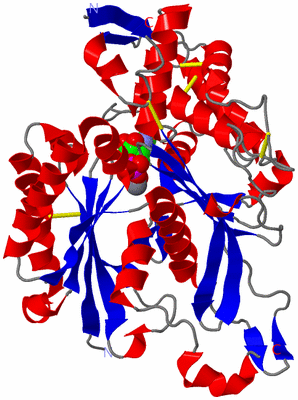 Image Asym./Biol. Unit