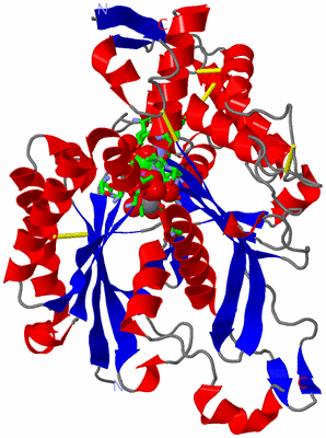 Image Asym./Biol. Unit - sites