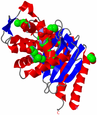 Image Asym./Biol. Unit