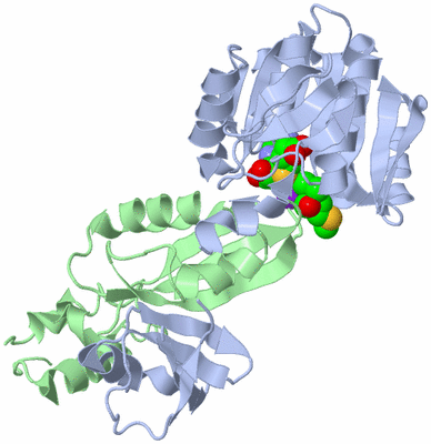 Image Biological Unit 1