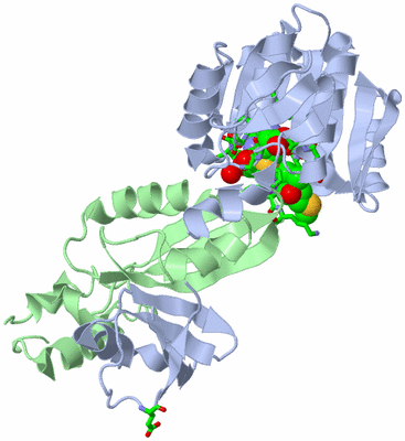 Image Biol. Unit 1 - sites