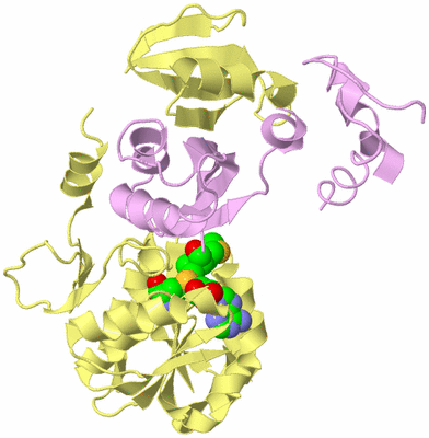 Image Biological Unit 2