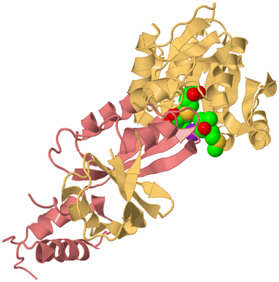 Image Biological Unit 3