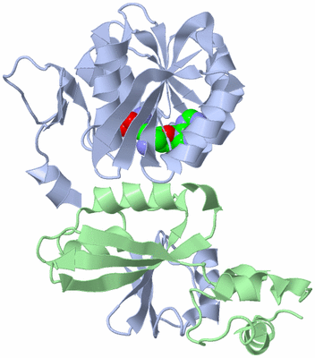 Image Asym./Biol. Unit