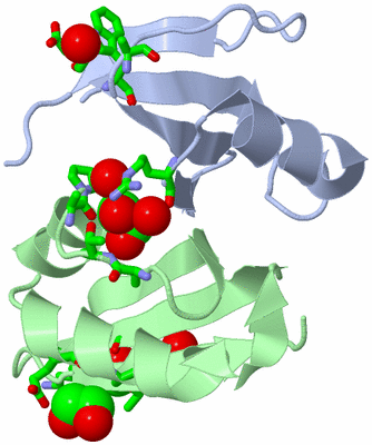 Image Biol. Unit 1 - sites