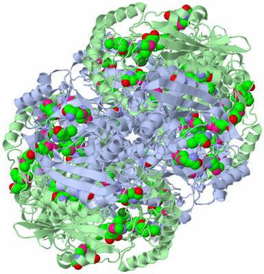 Image Biological Unit 1