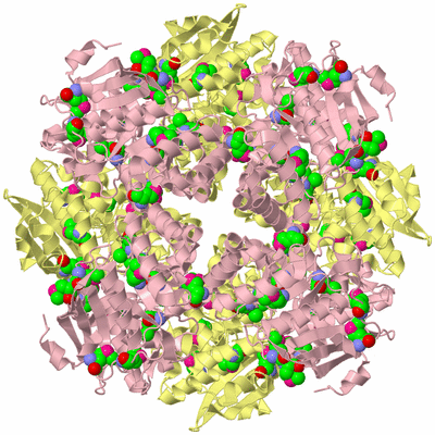 Image Biological Unit 2