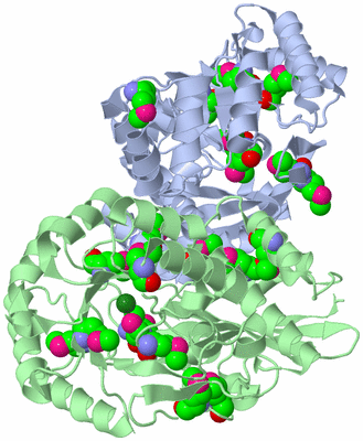 Image Biological Unit 3