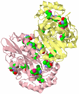 Image Biological Unit 4