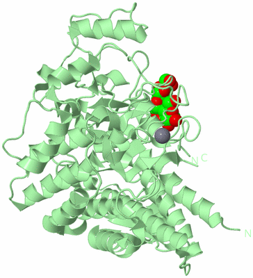 Image Biological Unit 2