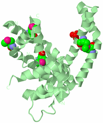 Image Biological Unit 2