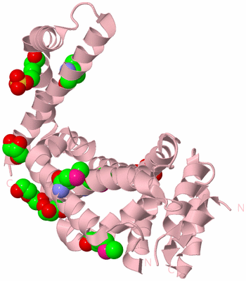 Image Biological Unit 3