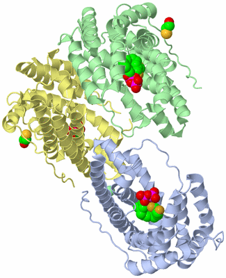 Image Biological Unit 2