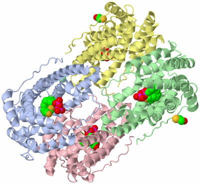 Image Biological Unit 3