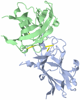 Image Biological Unit 3