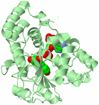 Image Biological Unit 2