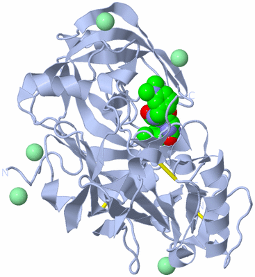 Image Biological Unit 1