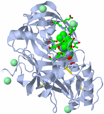 Image Biol. Unit 1 - sites