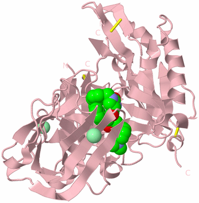 Image Biological Unit 3