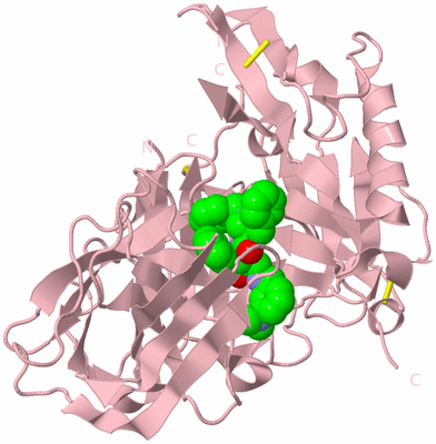 Image Biological Unit 3