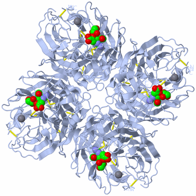 Image Biological Unit 1