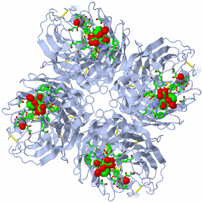 Image Biol. Unit 1 - sites