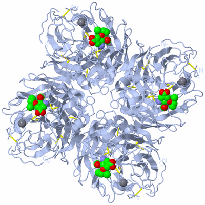 Image Biological Unit 1